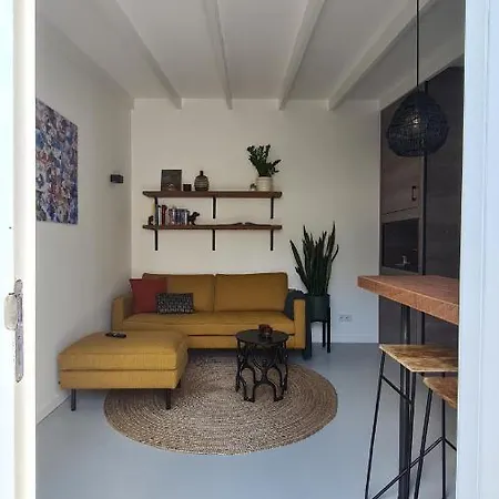 Apartment Koninginnehuis 35