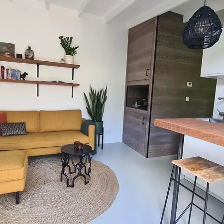 Koninginnehuis 35 Appartamento Zandvoort