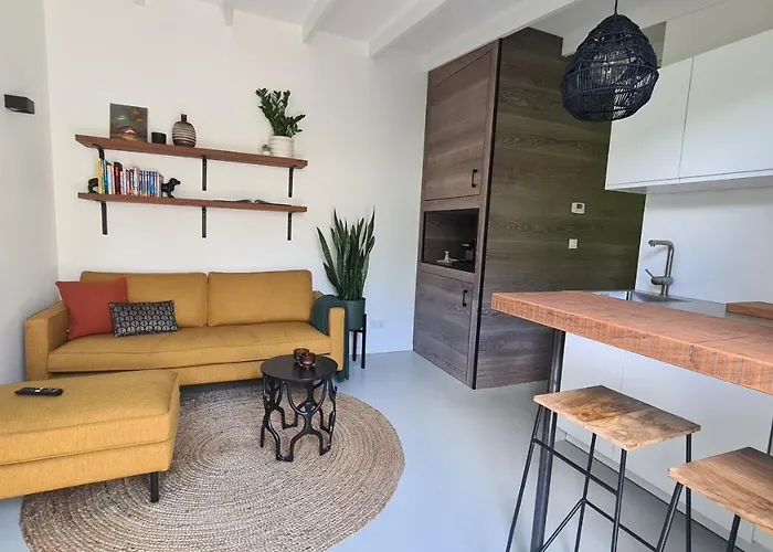 Koninginnehuis 35 Appartamento Zandvoort